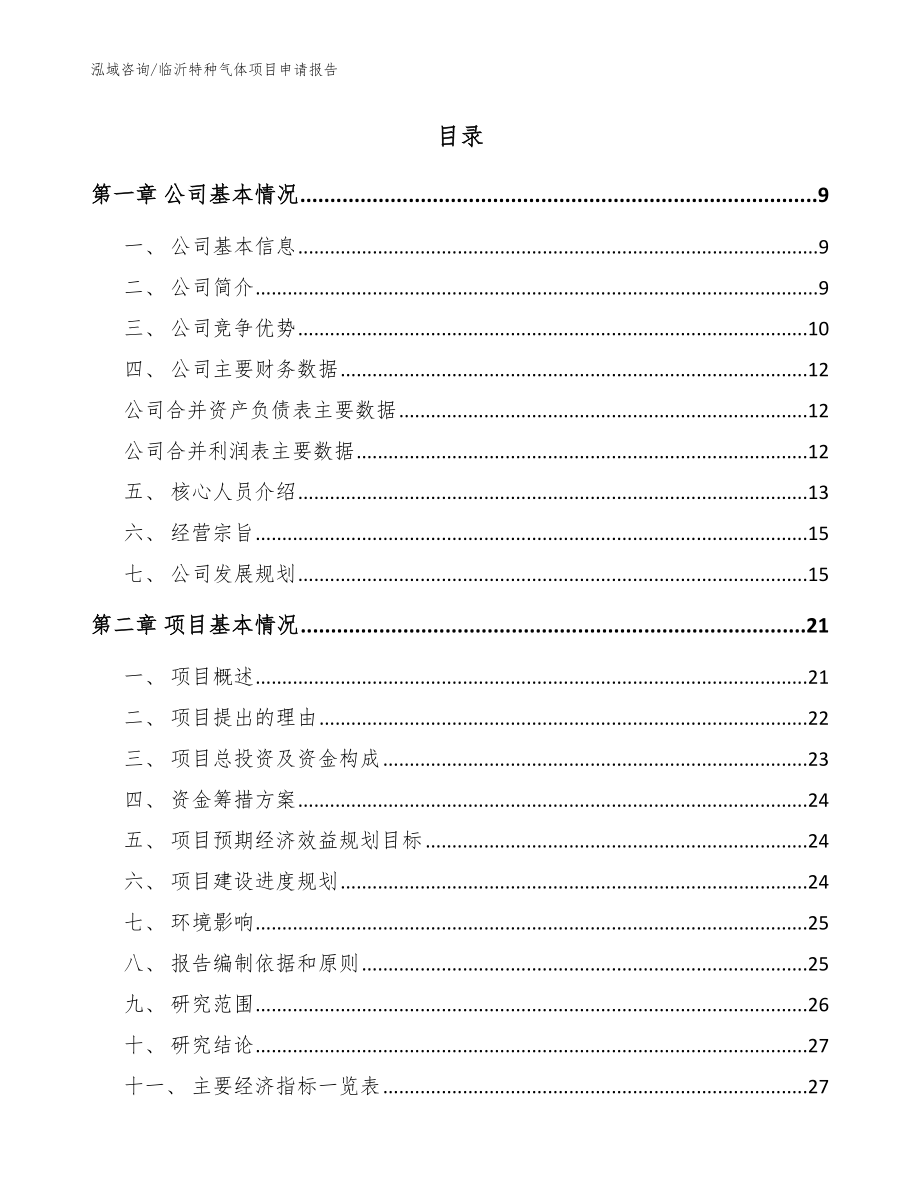 临沂特种气体项目申请报告（范文）_第2页