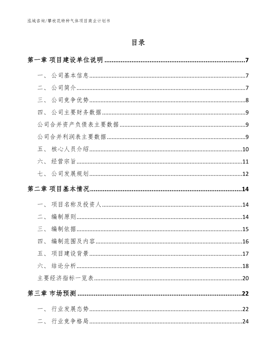 攀枝花特种气体项目商业计划书（参考范文）_第1页