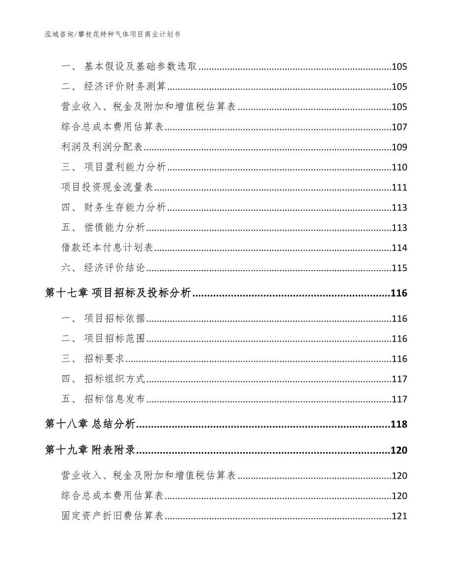 攀枝花特种气体项目商业计划书（参考范文）_第5页