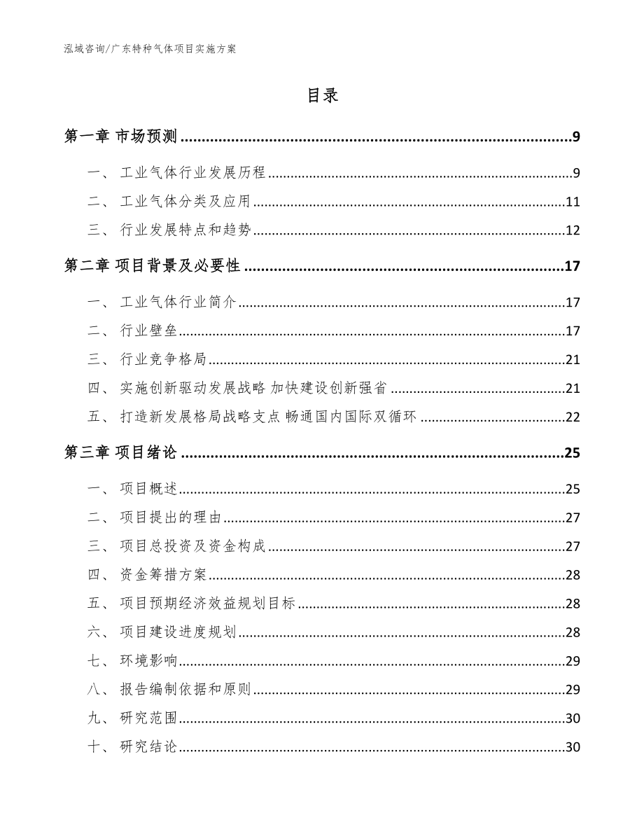 广东特种气体项目实施方案参考范文_第2页