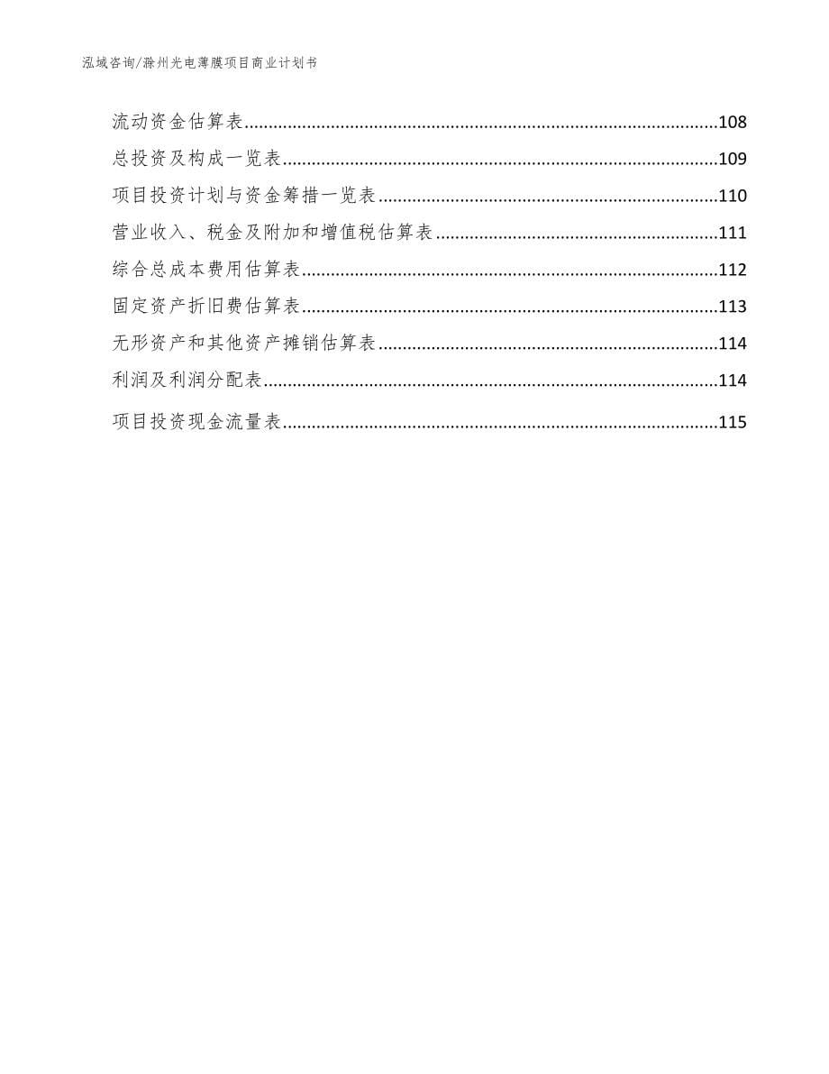 滁州光电薄膜项目商业计划书模板参考_第5页