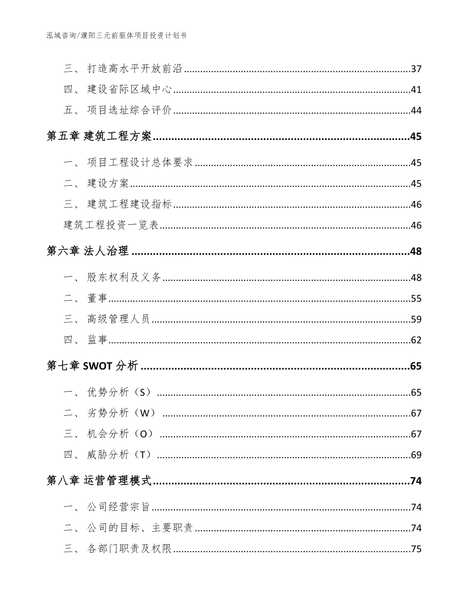 濮阳三元前驱体项目投资计划书_范文模板_第2页