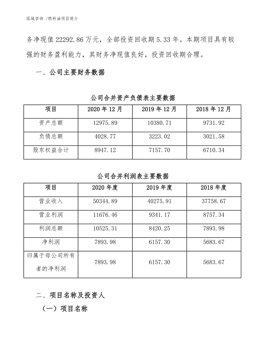 燃料油项目简介（范文模板）_第3页