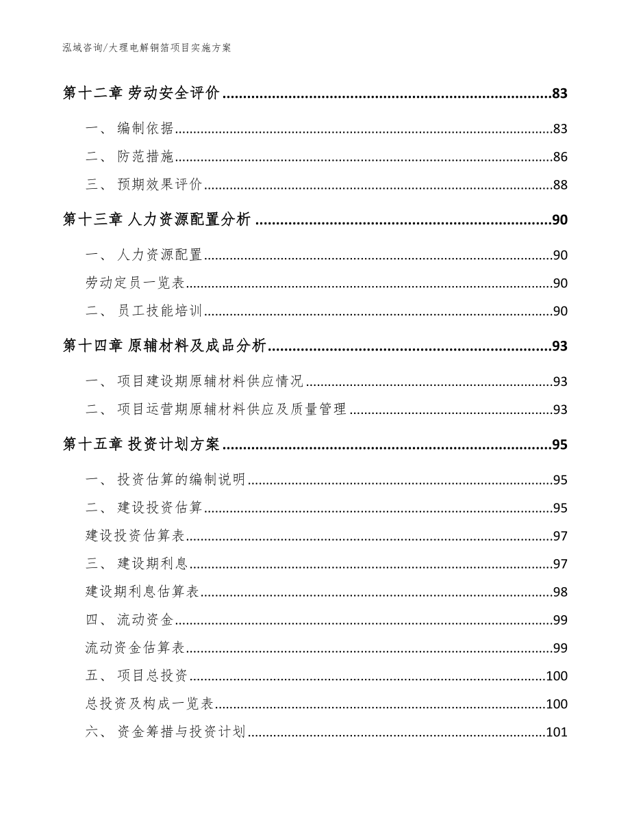 大理电解铜箔项目实施方案（范文参考）_第4页