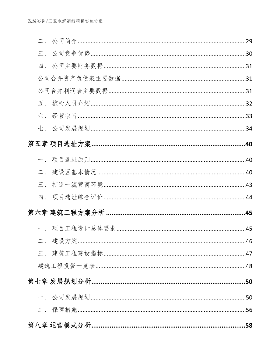 三亚电解铜箔项目实施方案（范文参考）_第3页