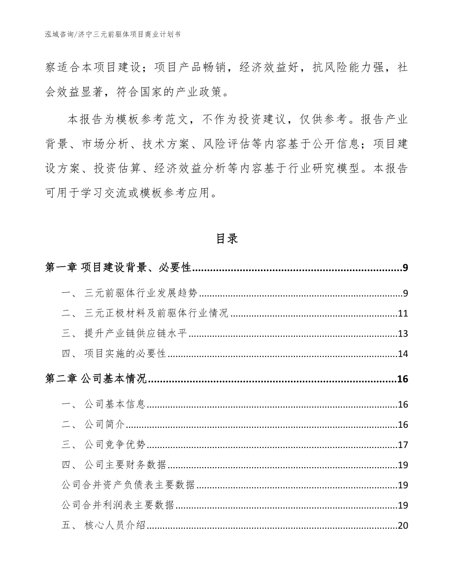 济宁三元前驱体项目商业计划书模板范本_第3页