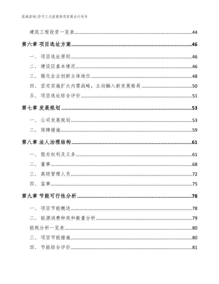 济宁三元前驱体项目商业计划书模板范本_第5页