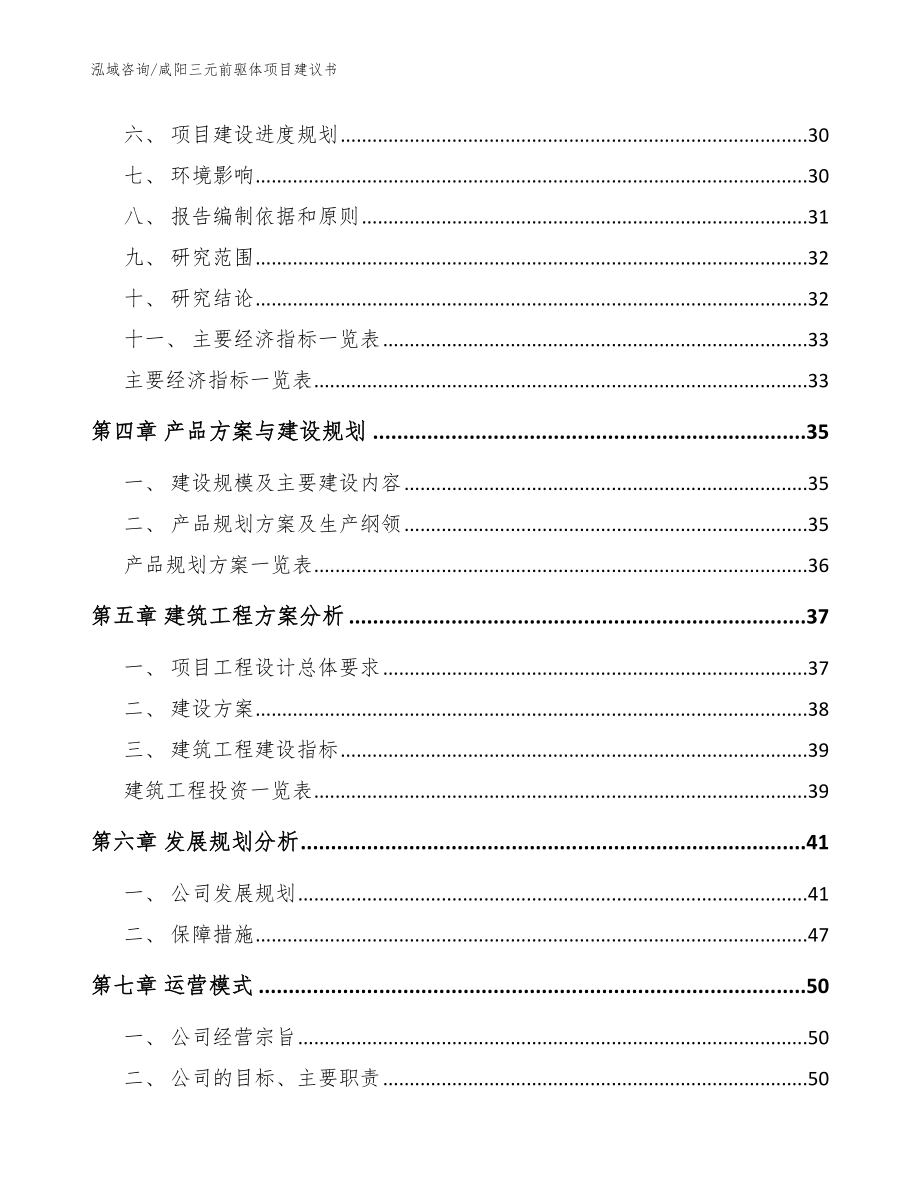 咸阳三元前驱体项目建议书（模板范文）_第2页