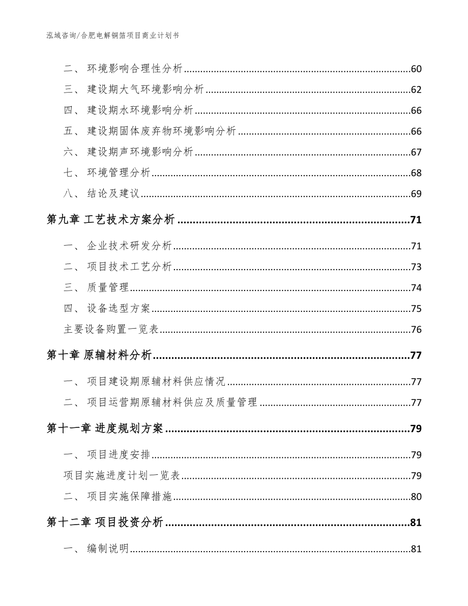 合肥电解铜箔项目商业计划书_参考模板_第3页