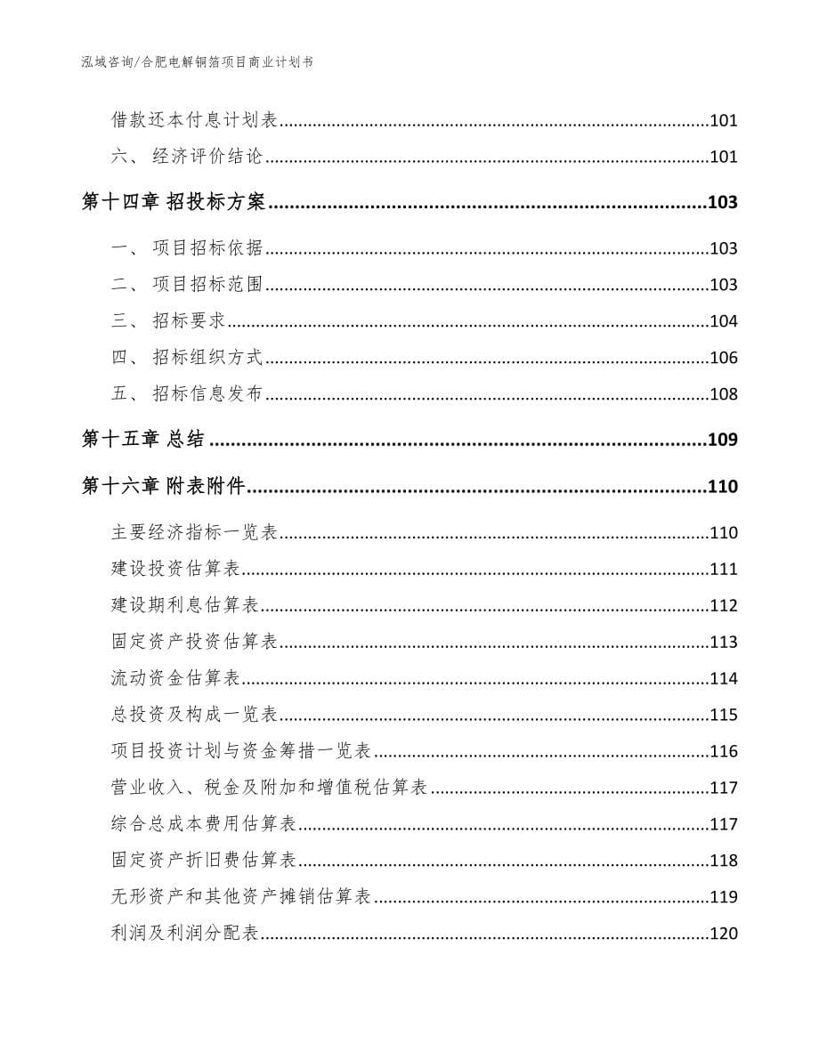 合肥电解铜箔项目商业计划书_参考模板_第5页