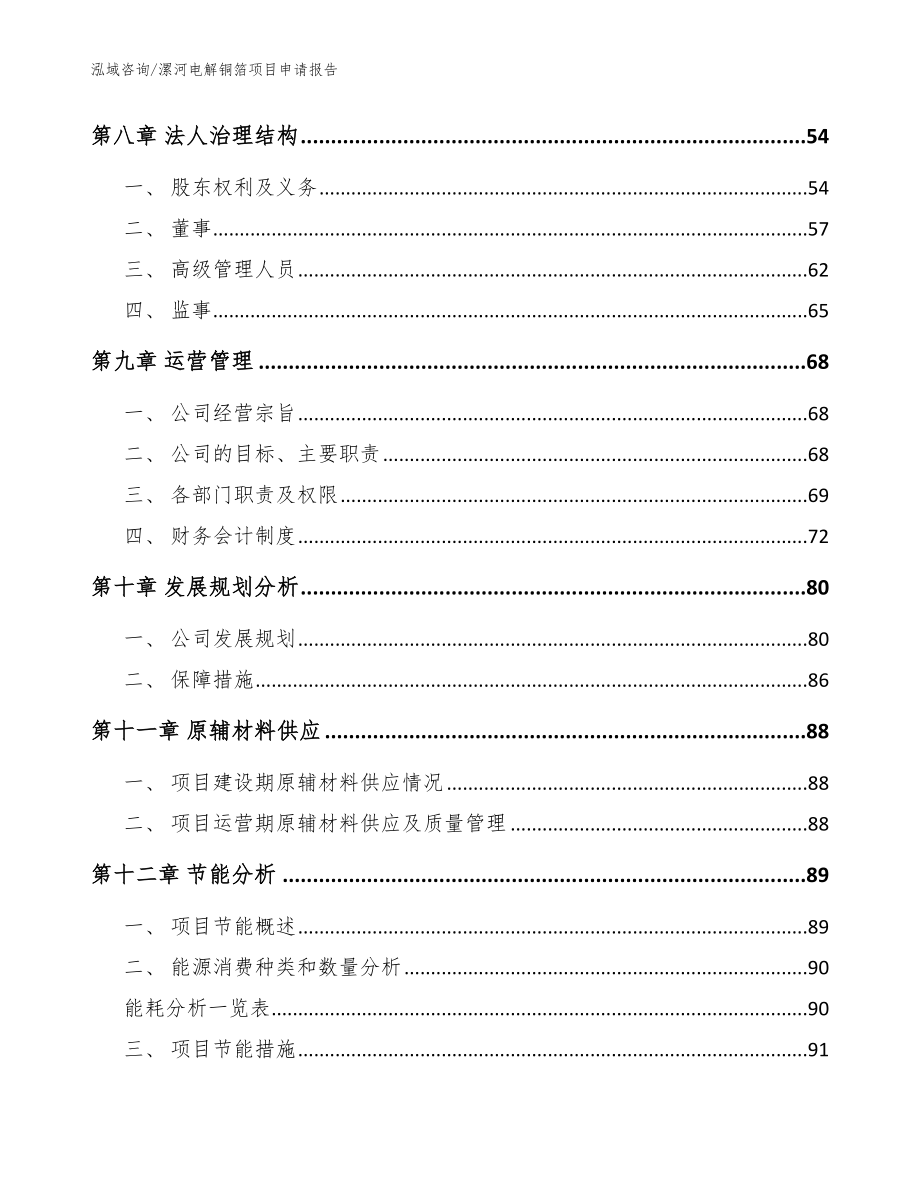 漯河电解铜箔项目申请报告_范文模板_第4页