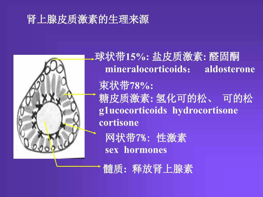 Pharmacology Chapter 35_第2页