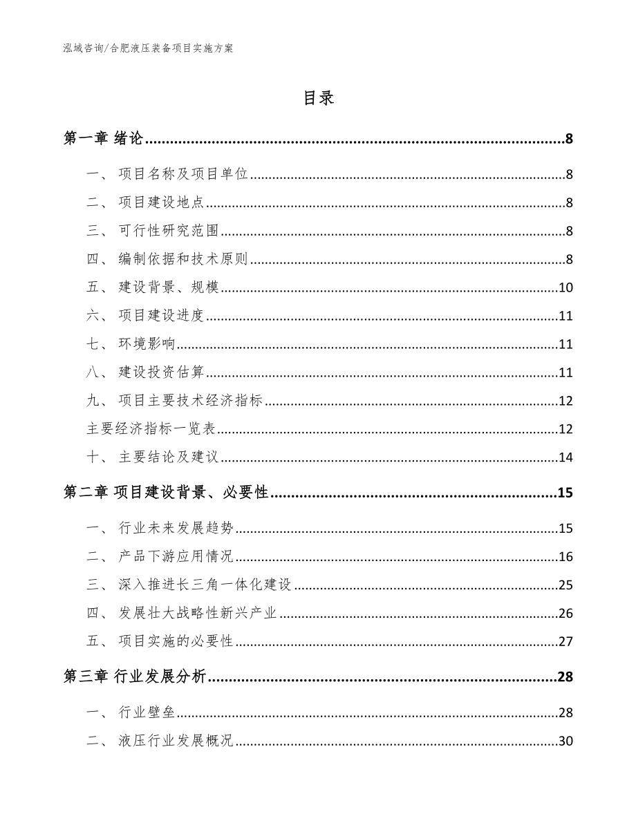 合肥液压装备项目实施方案模板_第1页