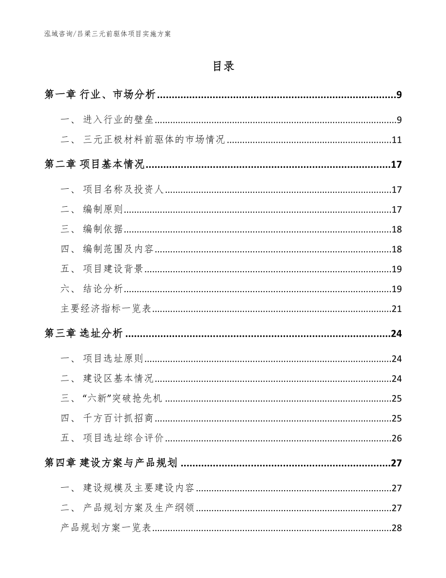 吕梁三元前驱体项目实施方案（模板参考）_第2页