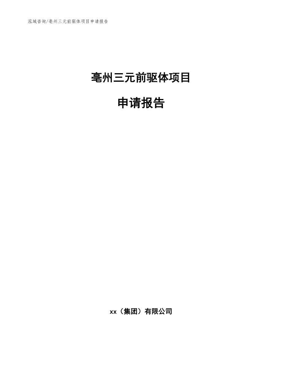 亳州三元前驱体项目申请报告_模板范文_第1页