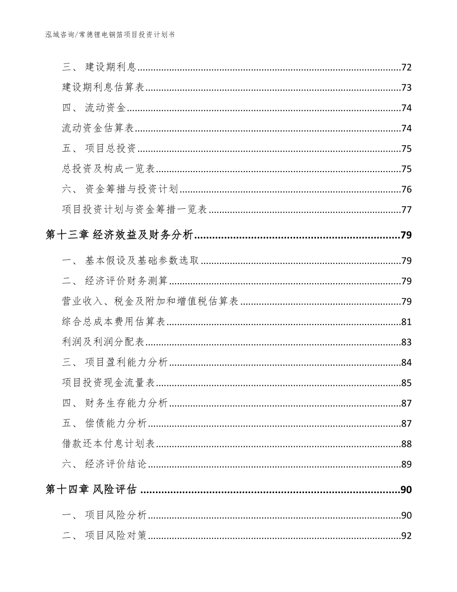 常德锂电铜箔项目投资计划书（参考范文）_第4页