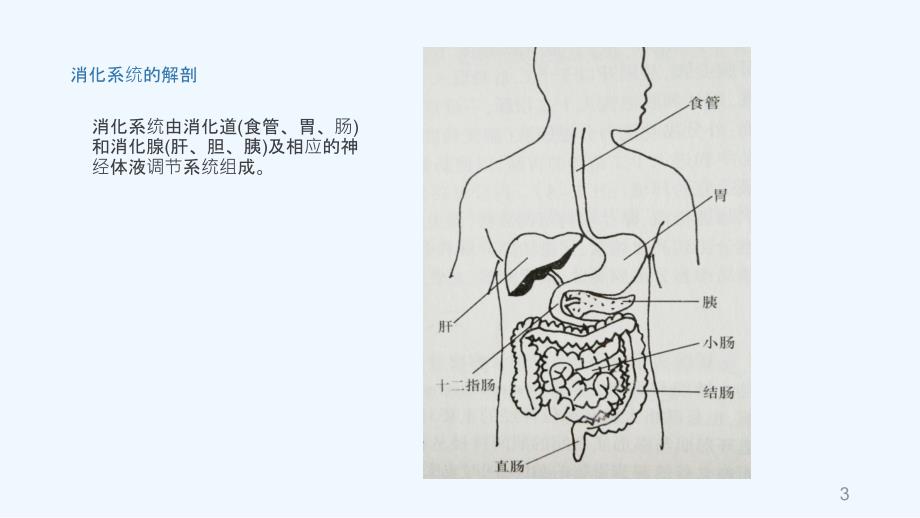 上消化道出血小讲课(实用课件)_第3页