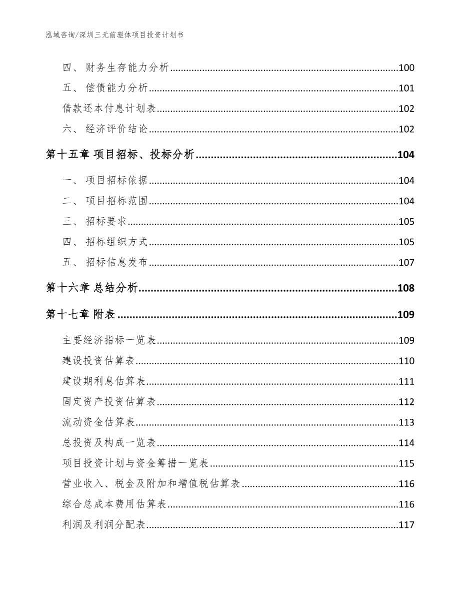 深圳三元前驱体项目投资计划书（范文参考）_第5页