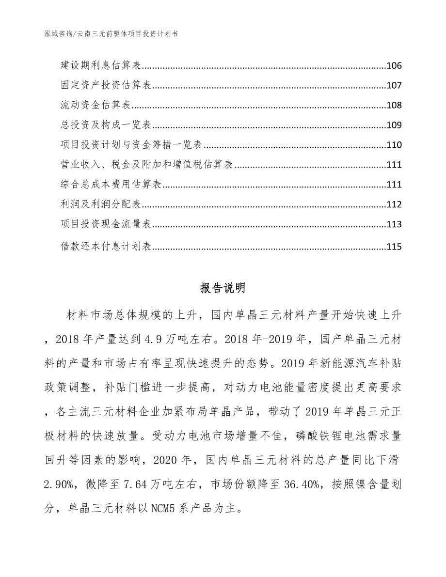 云南三元前驱体项目投资计划书_范文参考_第5页