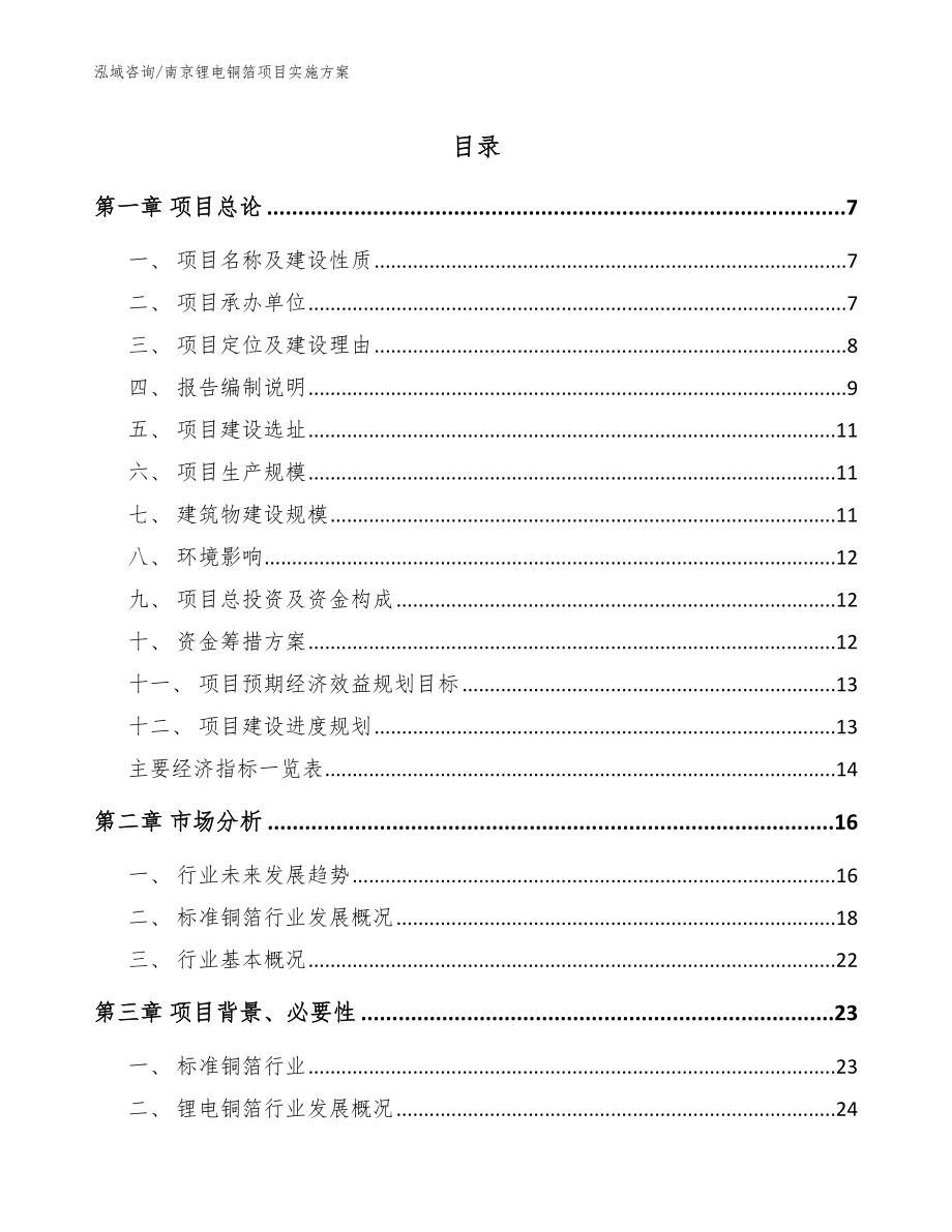 南京锂电铜箔项目实施方案_模板范本_第1页