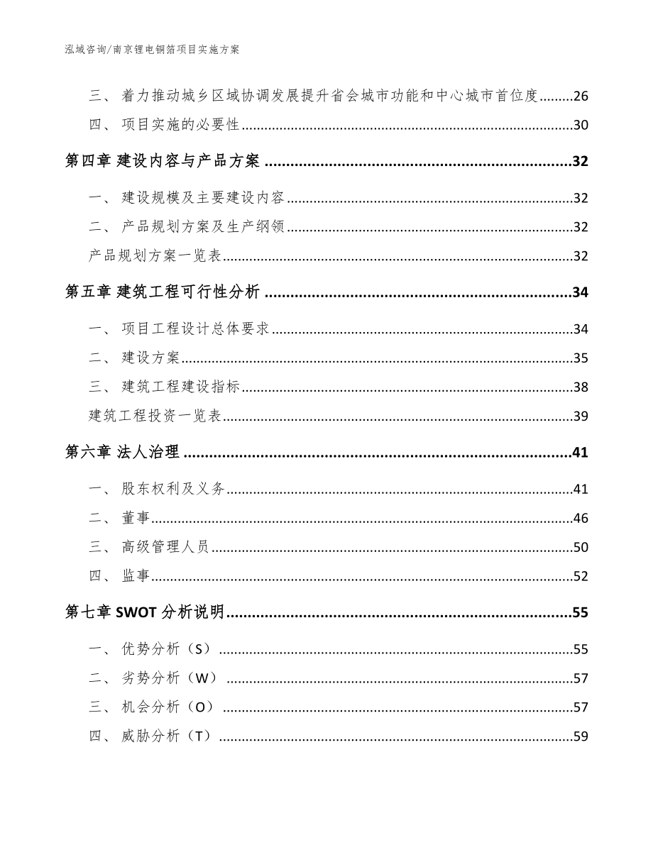 南京锂电铜箔项目实施方案_模板范本_第2页