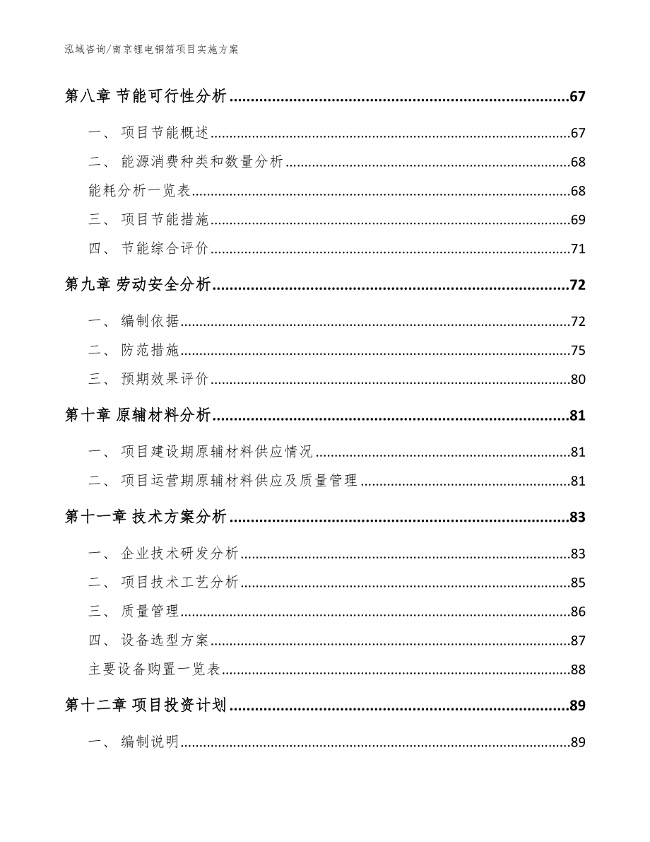 南京锂电铜箔项目实施方案_模板范本_第3页