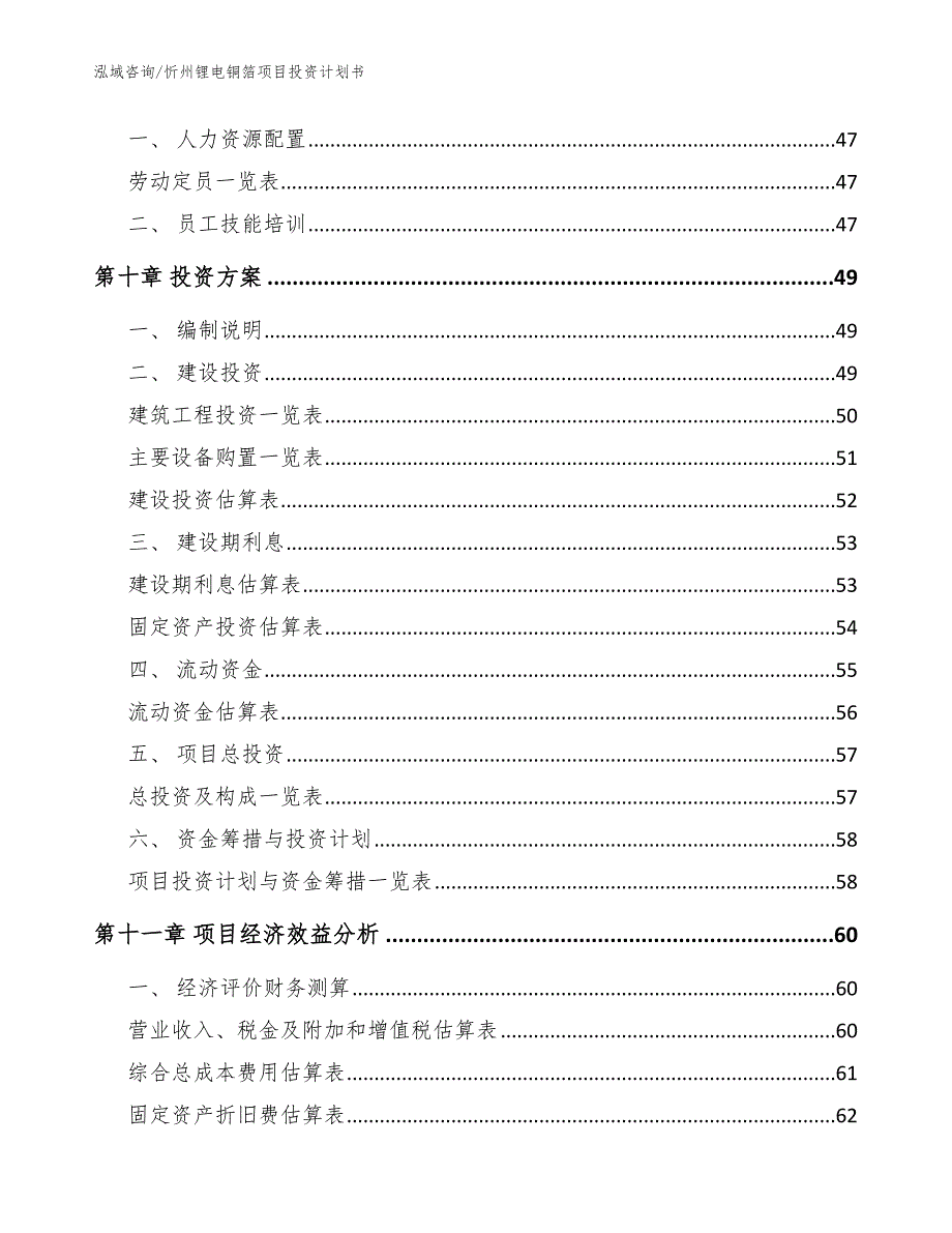 忻州锂电铜箔项目投资计划书（模板参考）_第3页