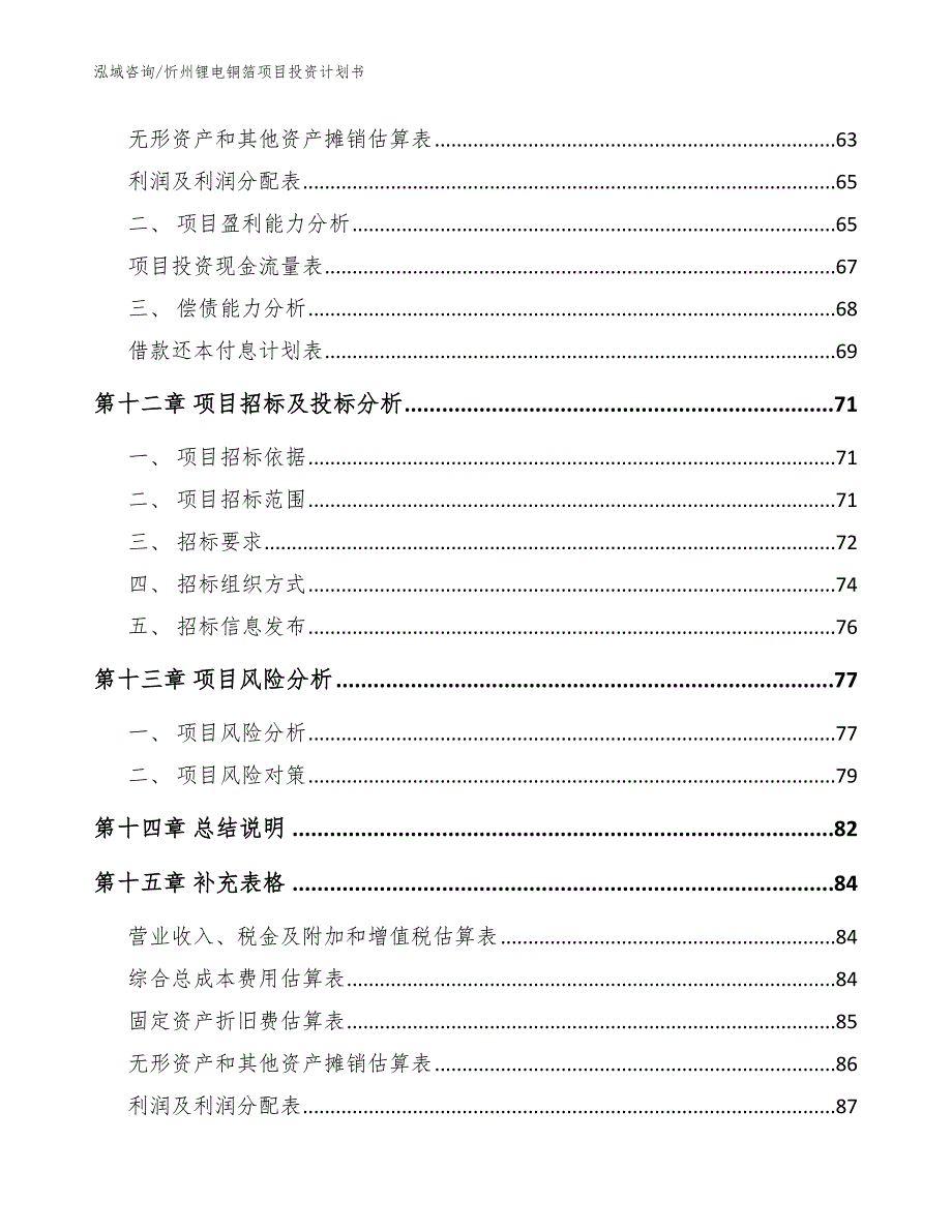 忻州锂电铜箔项目投资计划书（模板参考）_第4页