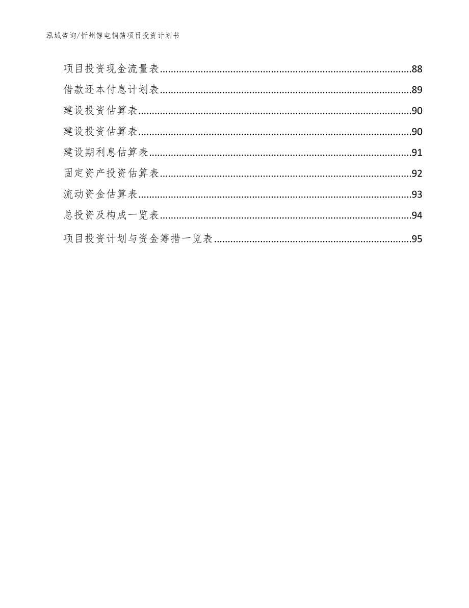 忻州锂电铜箔项目投资计划书（模板参考）_第5页