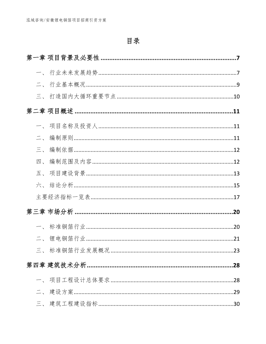 安徽锂电铜箔项目招商引资方案【参考模板】_第1页