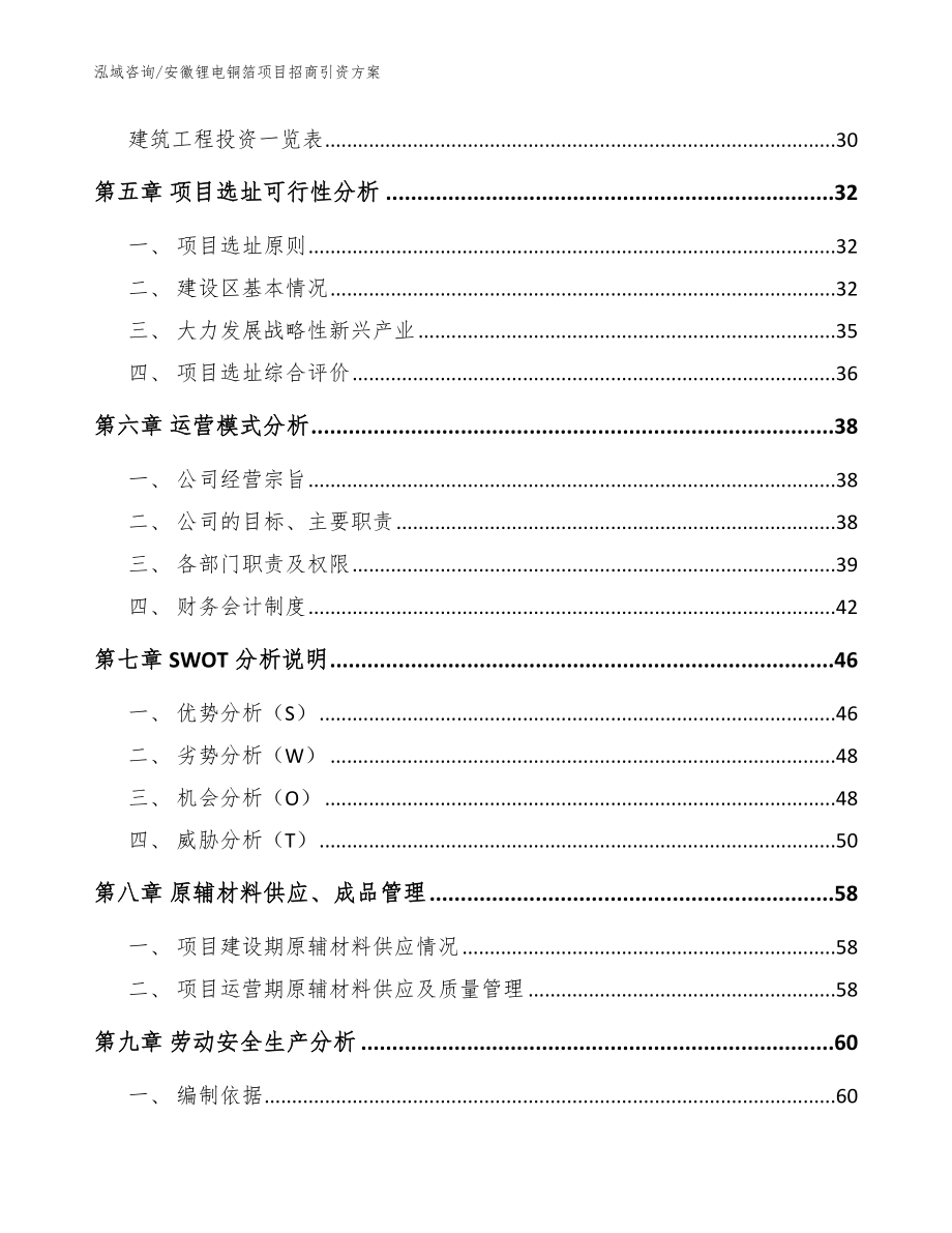 安徽锂电铜箔项目招商引资方案【参考模板】_第2页