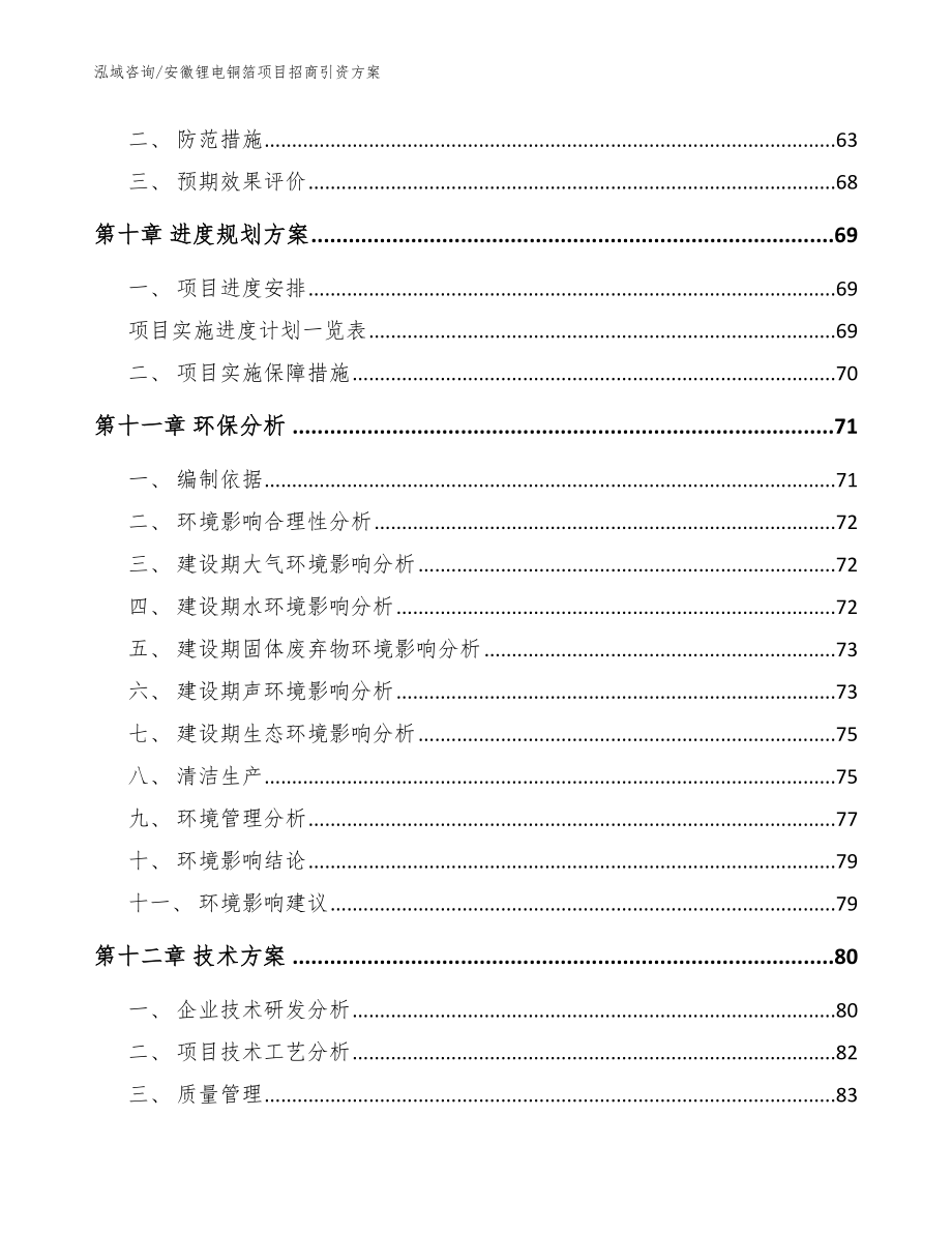 安徽锂电铜箔项目招商引资方案【参考模板】_第3页