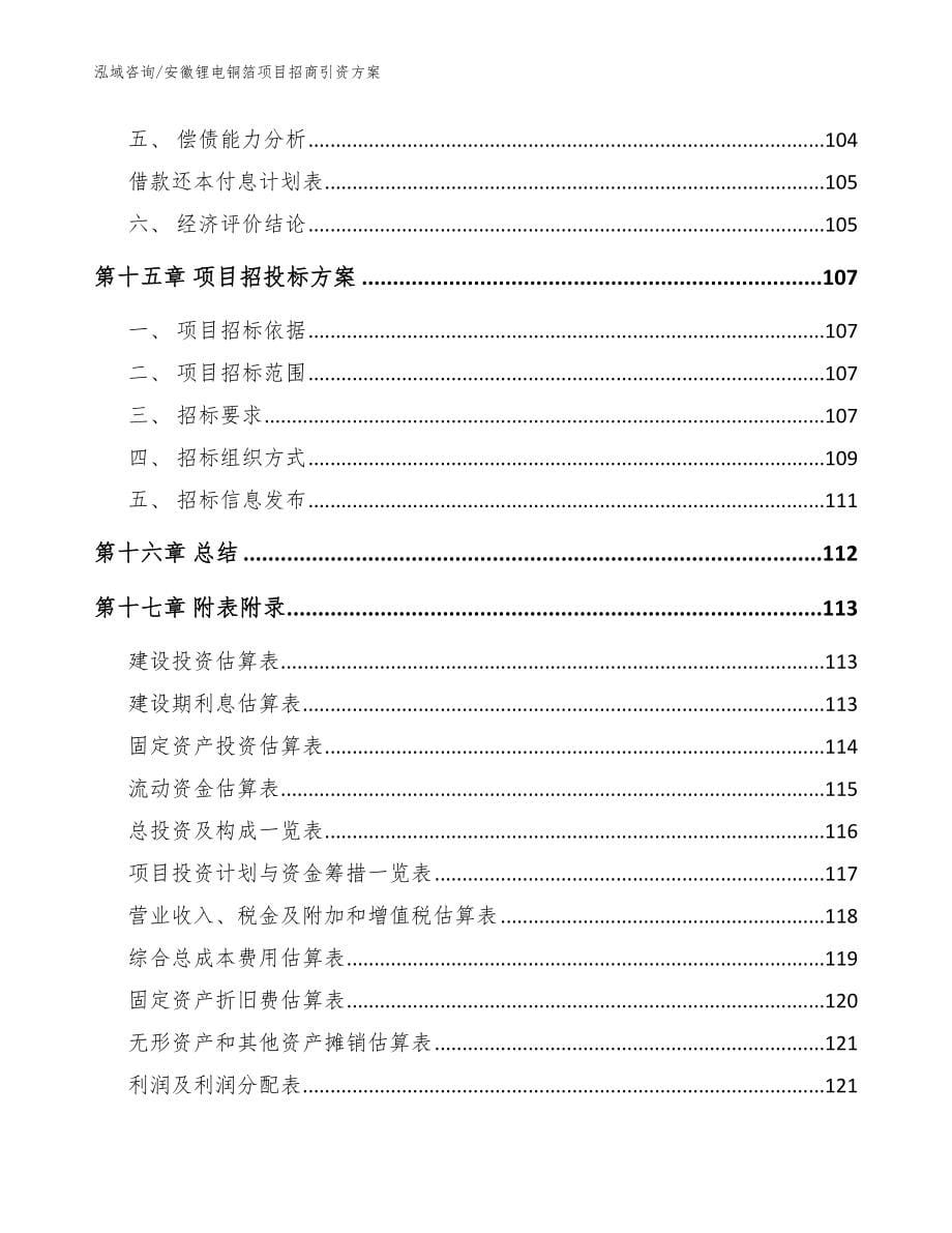 安徽锂电铜箔项目招商引资方案【参考模板】_第5页