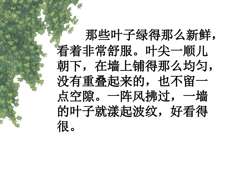 小学语文四年级上册《那片绿绿的爬山虎》课件　3教案资料_第2页