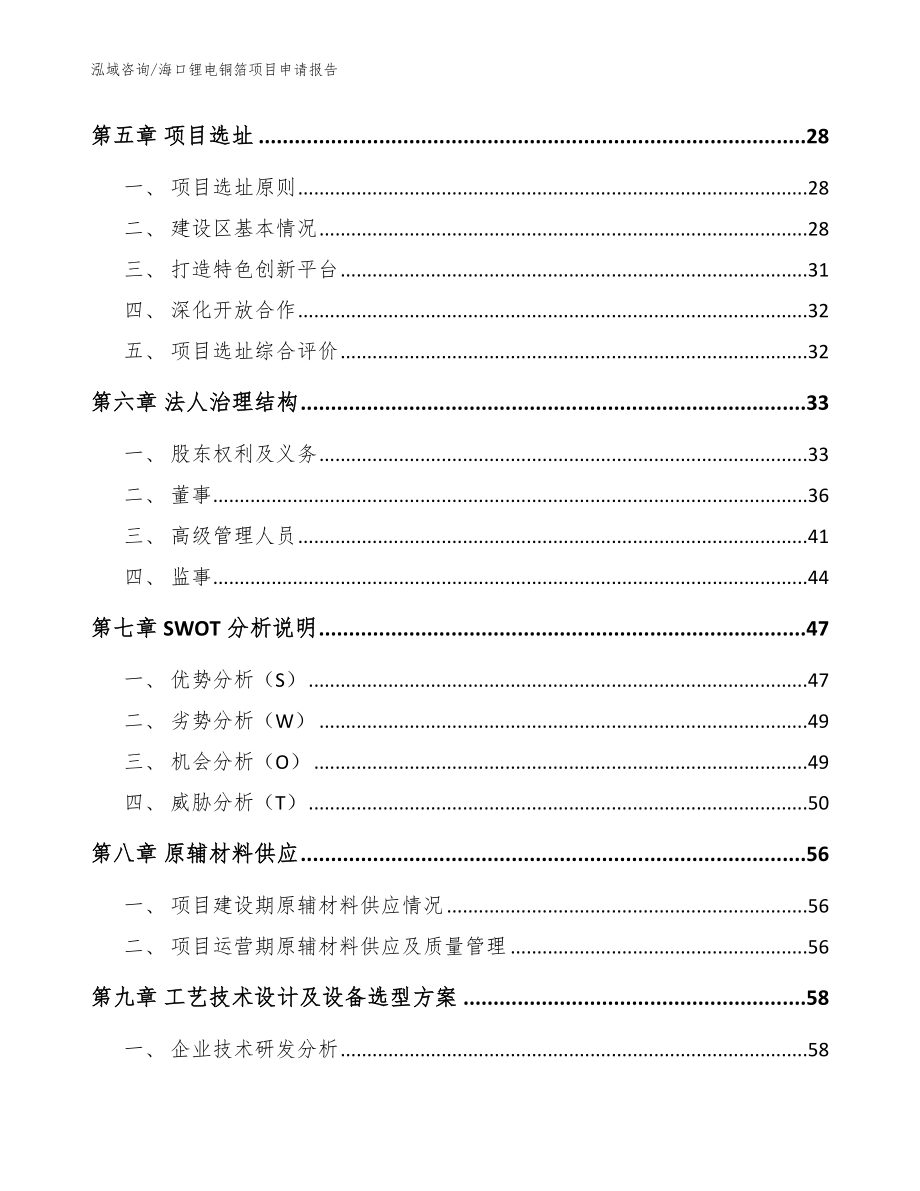 海口锂电铜箔项目申请报告【模板】_第3页