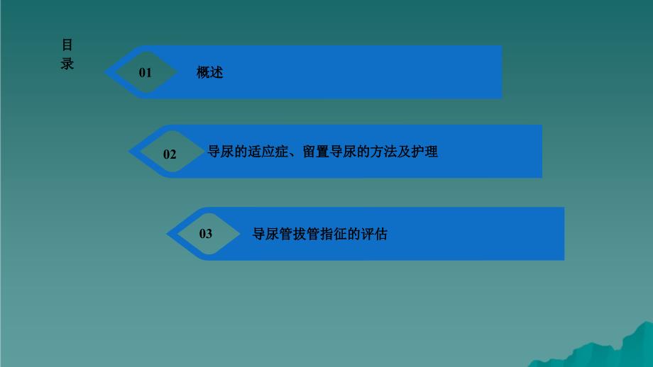 留置导尿护理指南(干货分享)_第2页