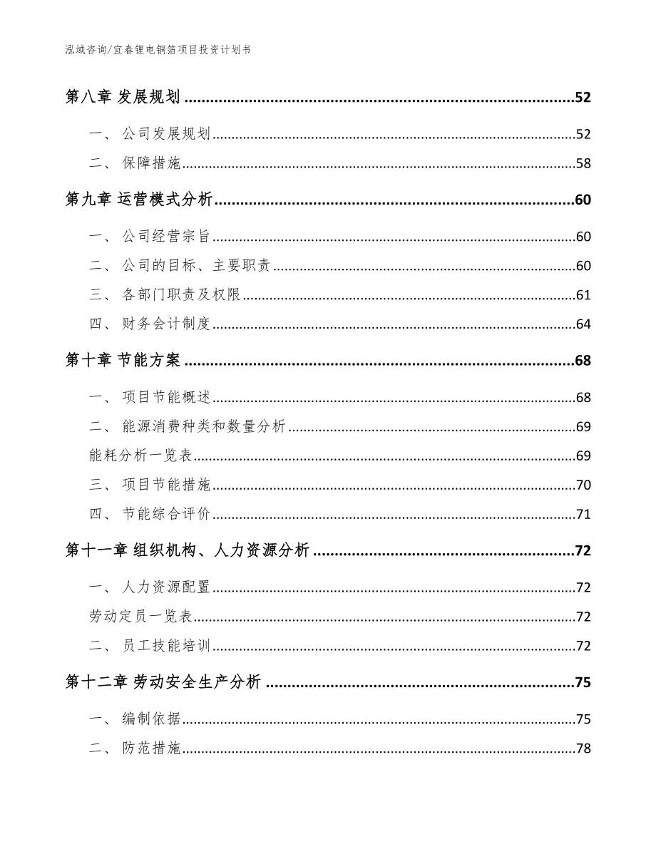 宜春锂电铜箔项目投资计划书范文_第3页