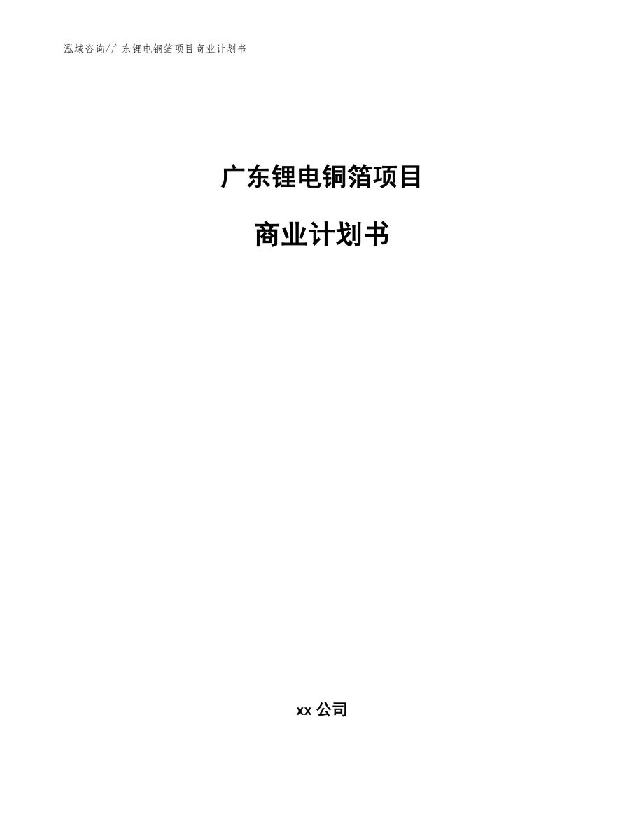 广东锂电铜箔项目商业计划书（模板范文）_第1页