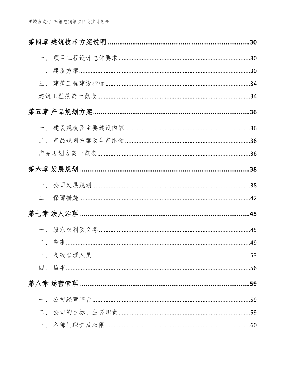 广东锂电铜箔项目商业计划书（模板范文）_第3页