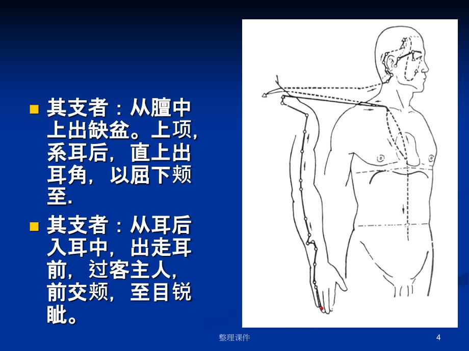 针灸学三焦经_第4页