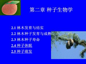 西南林大苗木培育学课件-02种子生物学(2）