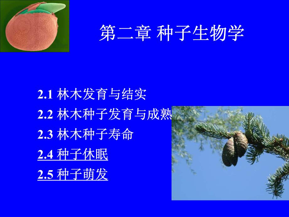 西南林大苗木培育学课件-02种子生物学(2）_第1页