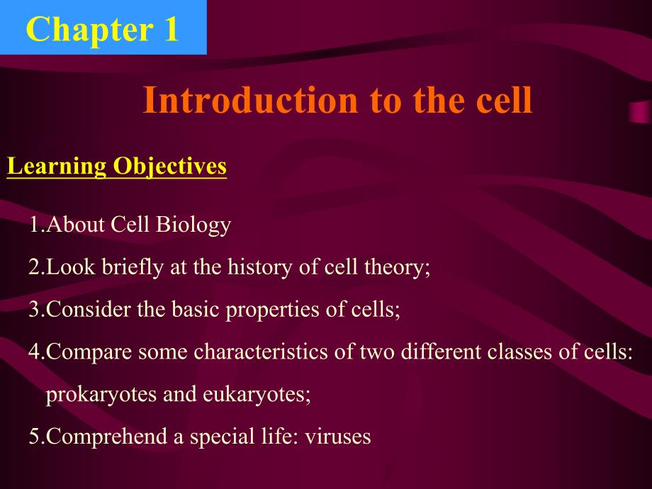 内蒙古大学细胞生物学双语课件00绪论及细胞的统一性与多样性_第2页