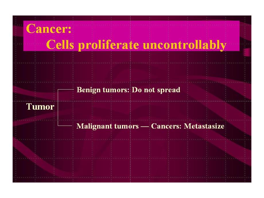 内蒙古大学细胞生物学双语课件12-2细胞的增殖调控与癌细胞2_第1页