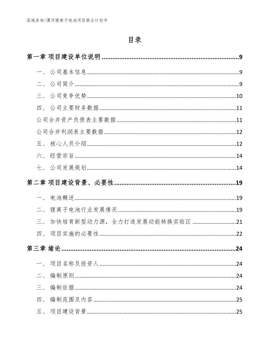 漯河锂离子电池项目商业计划书_参考范文_第2页