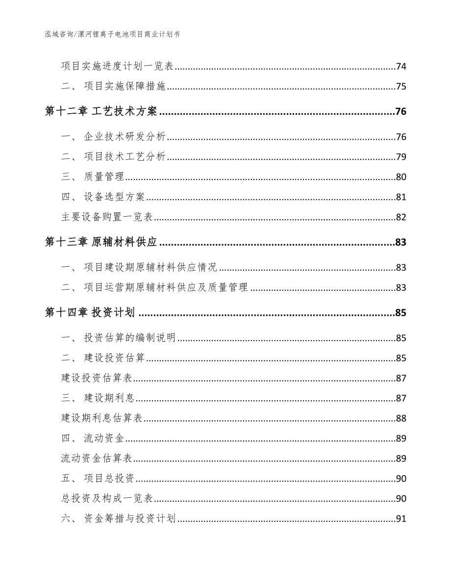 漯河锂离子电池项目商业计划书_参考范文_第5页