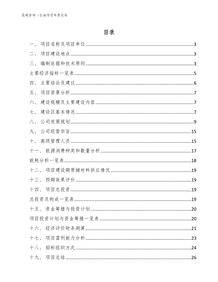 白油项目年度总结（参考模板）_第1页