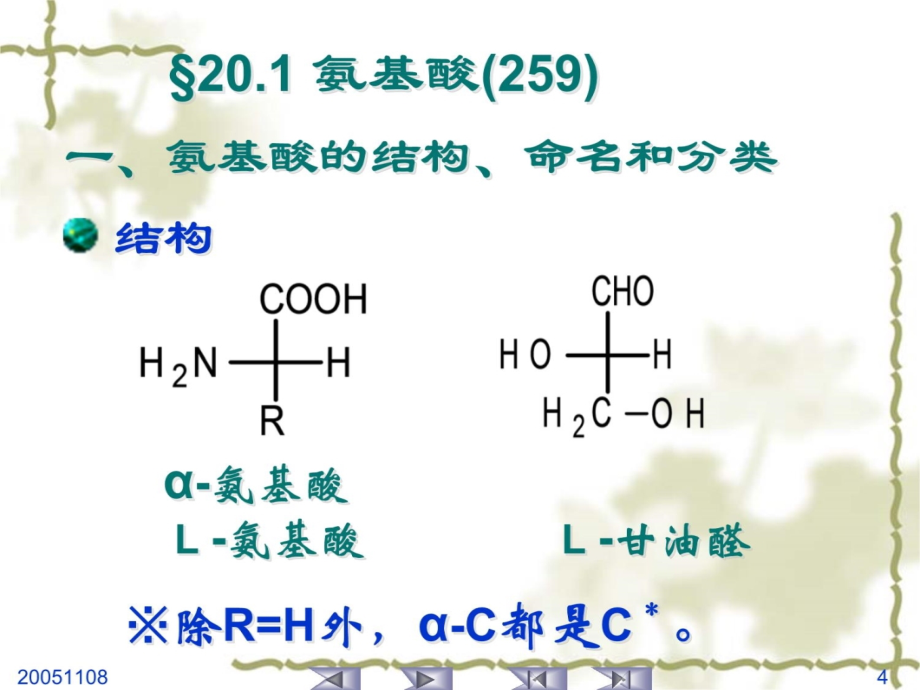 第二十章蛋白质和核酸培训讲学_第4页