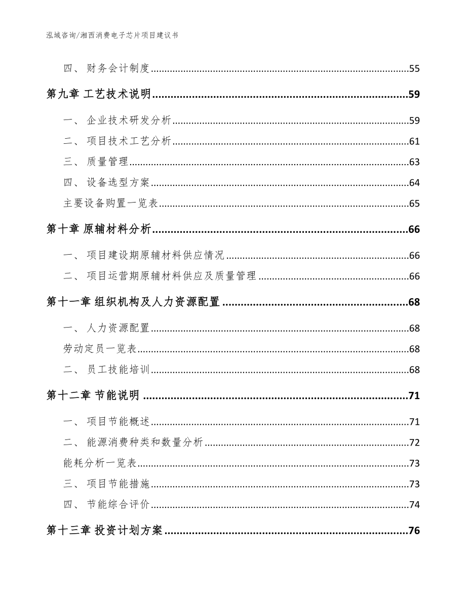 湘西消费电子芯片项目建议书【范文模板】_第3页