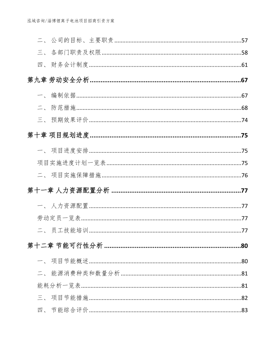 淄博锂离子电池项目招商引资方案_范文模板_第3页